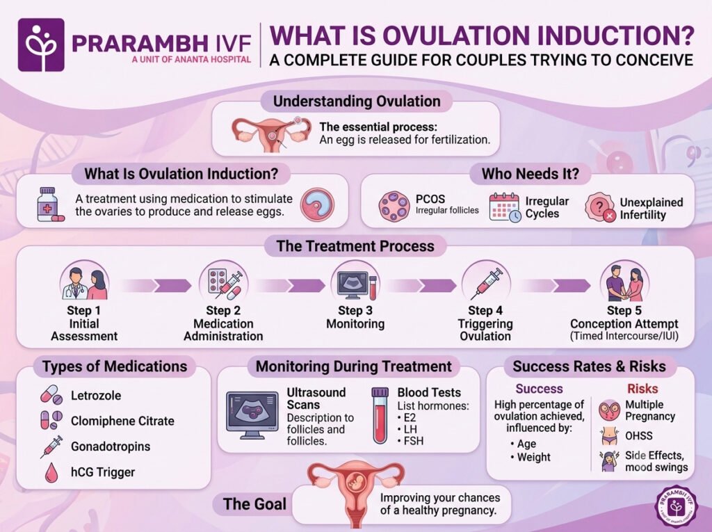 What Is Ovulation Induction?
