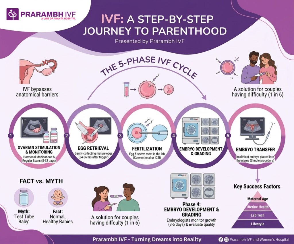 What is IVF? The Ultimate Step-by-Step Guide to In Vitro Fertilization