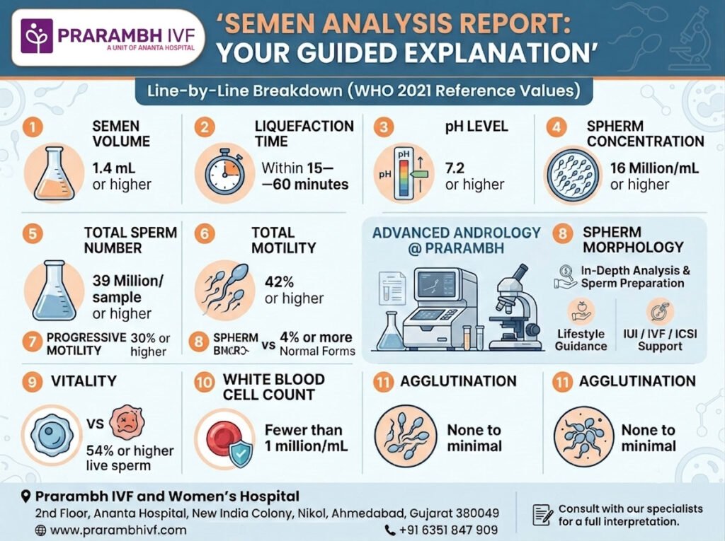 Semen Analysis Report: How to Read Your Results Line by Line