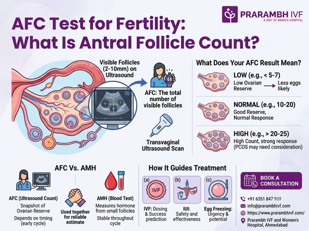 AFC Test for Fertility: What Is Antral Follicle Count and What Does It Mean?